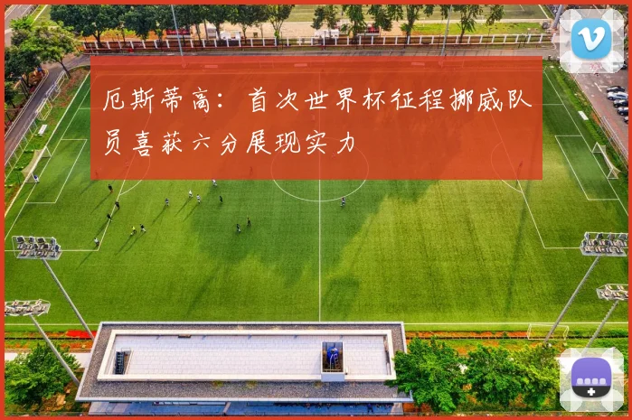 厄斯蒂高：首次世界杯征程挪威队员喜获六分展现实力